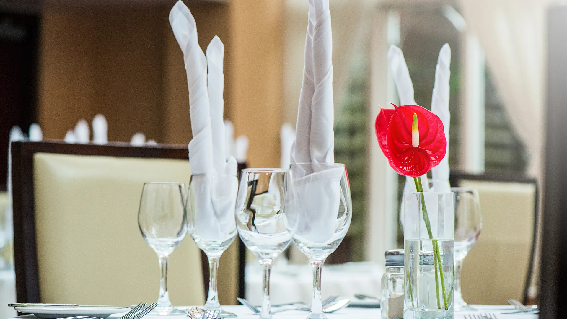 A laid table with a vibrant flower at Arden Hotel Restaurant.