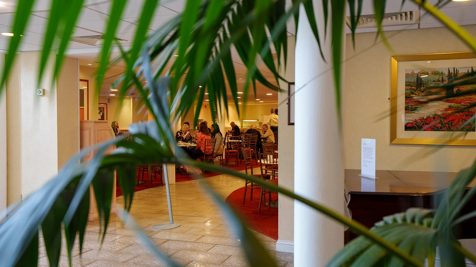 Looking through leafy plants into The Meeting Place. 
